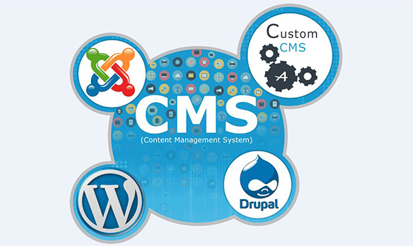 cms solutions in kochi